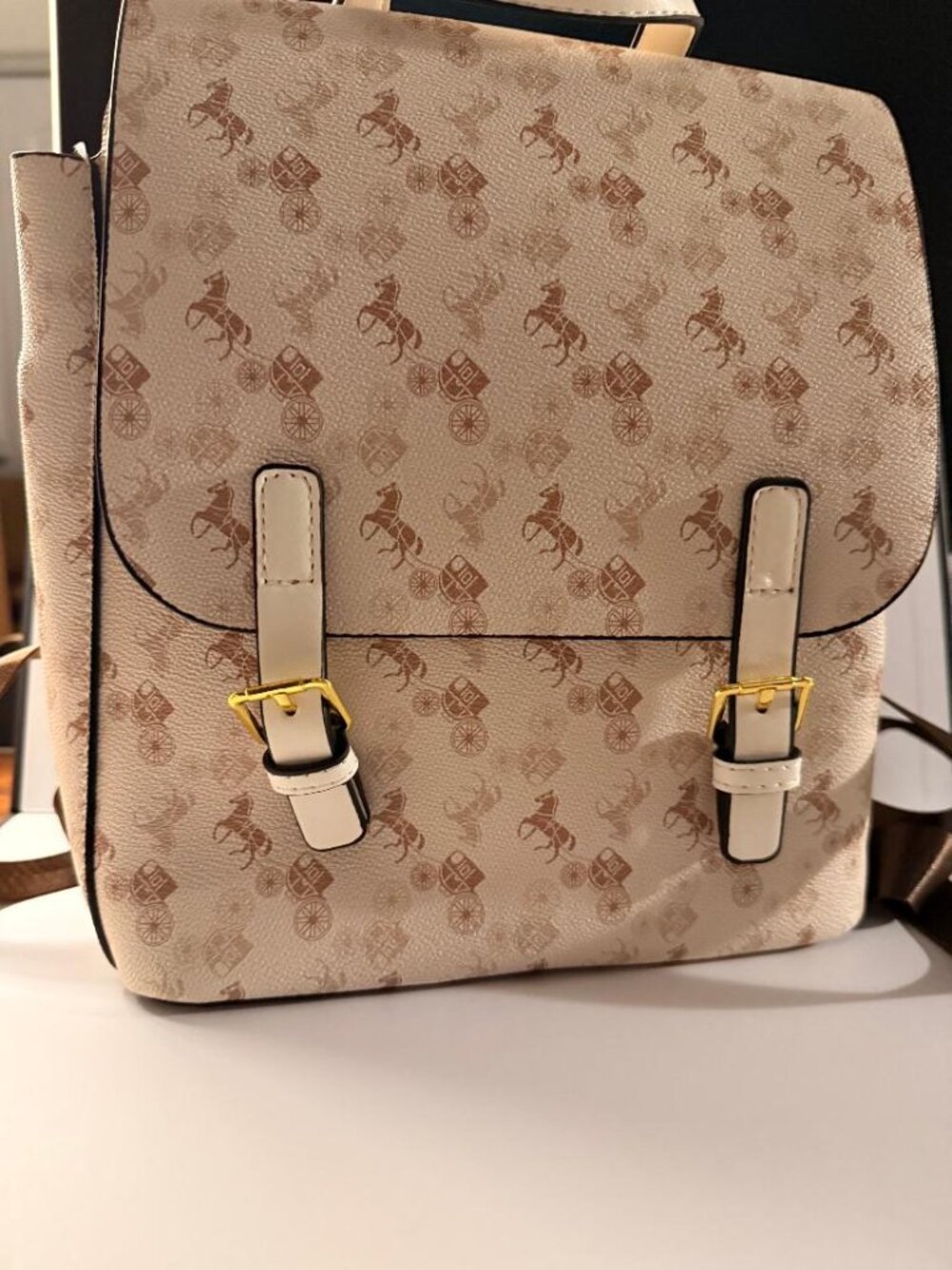 Small Backpack - Picture 1 of 3